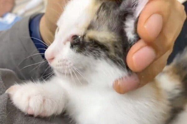 甘える朔徠ちゃん