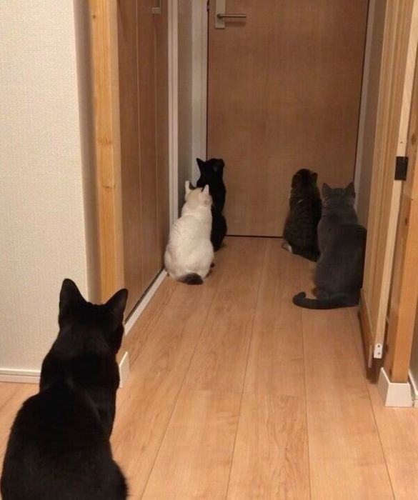 ボス部屋の前に集結?