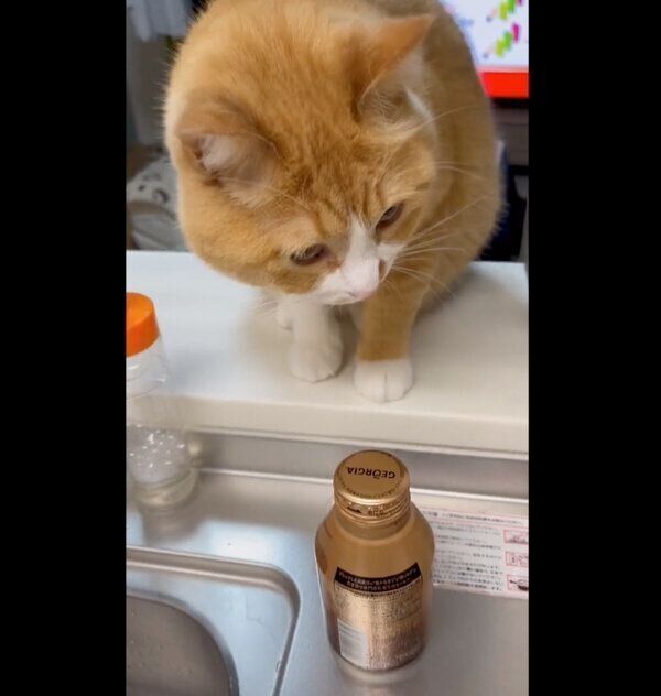 考えるさんてくん