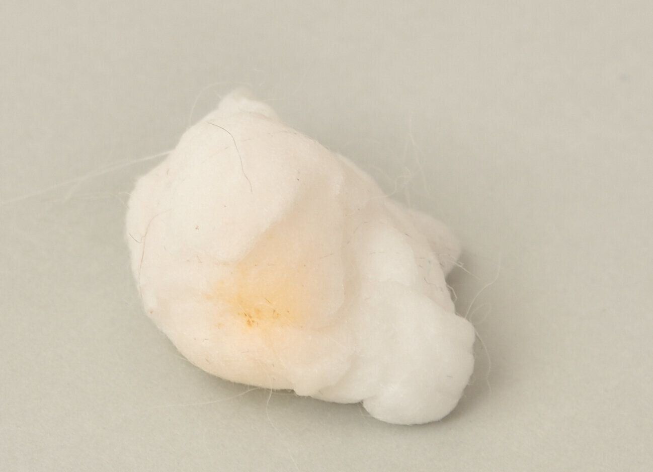 撮影／佐藤正之