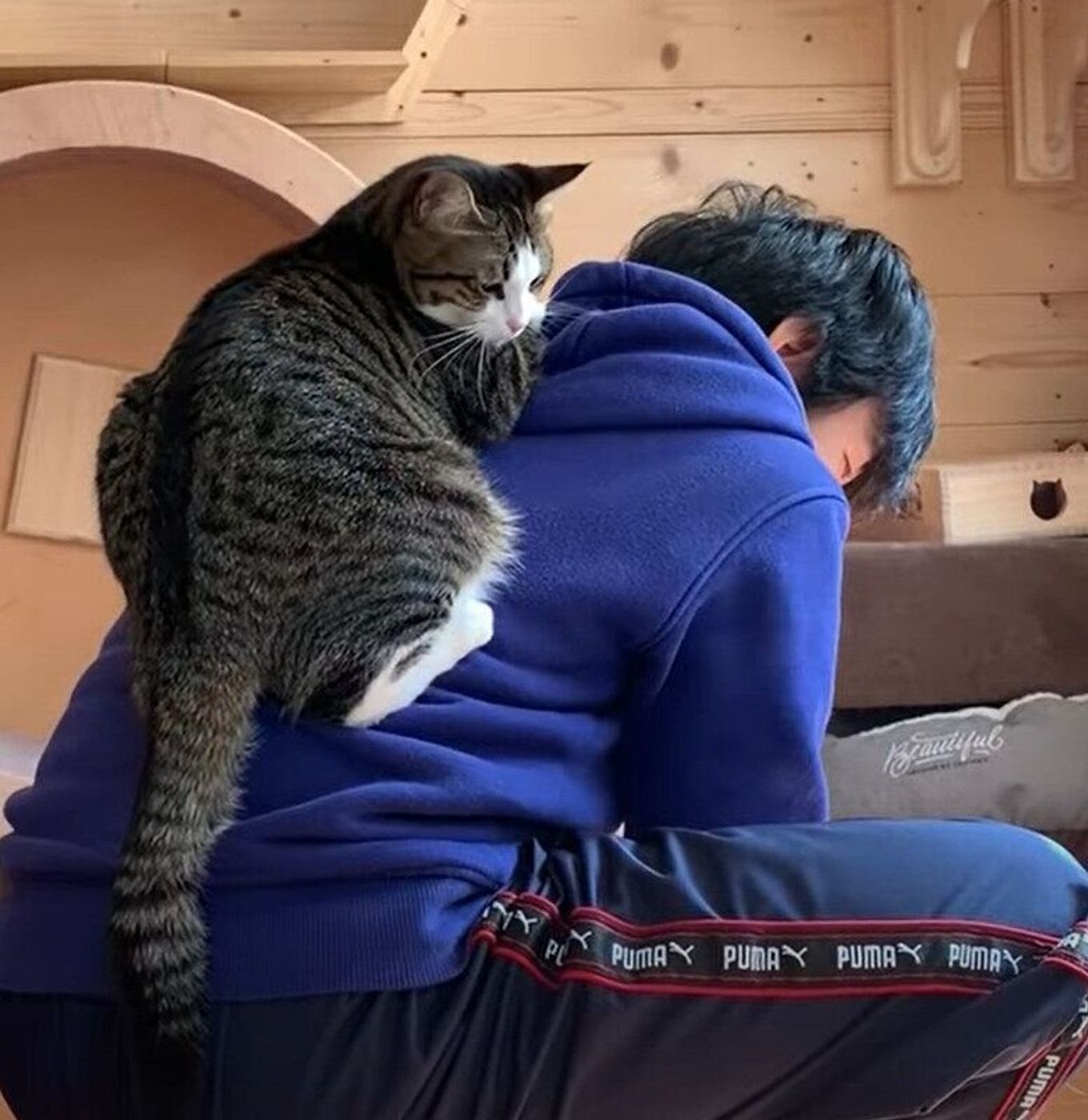 パパの背中に乗るのが大好きな猫の 毎日のルーティン ねこのきもちweb Magazine パパの背中に乗るのが大好きな猫の 毎日のルーティン ねこのきもちweb Magazine