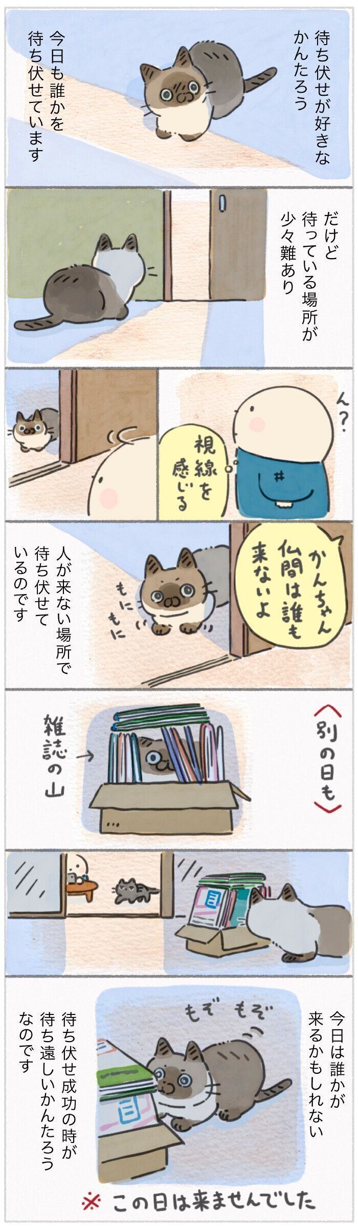 「ねこ連れ草」346話め