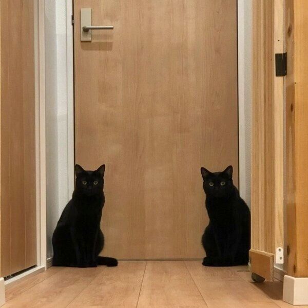 チックくんとタックくんがボスの部屋の前で待ち構える?
