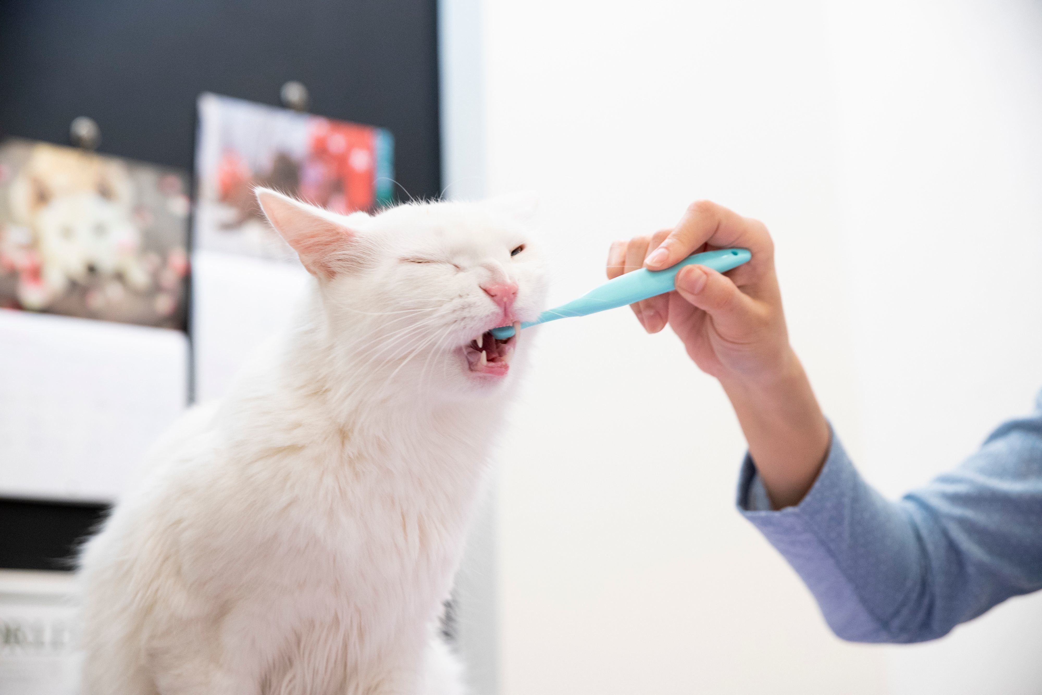 撮影／中川文作