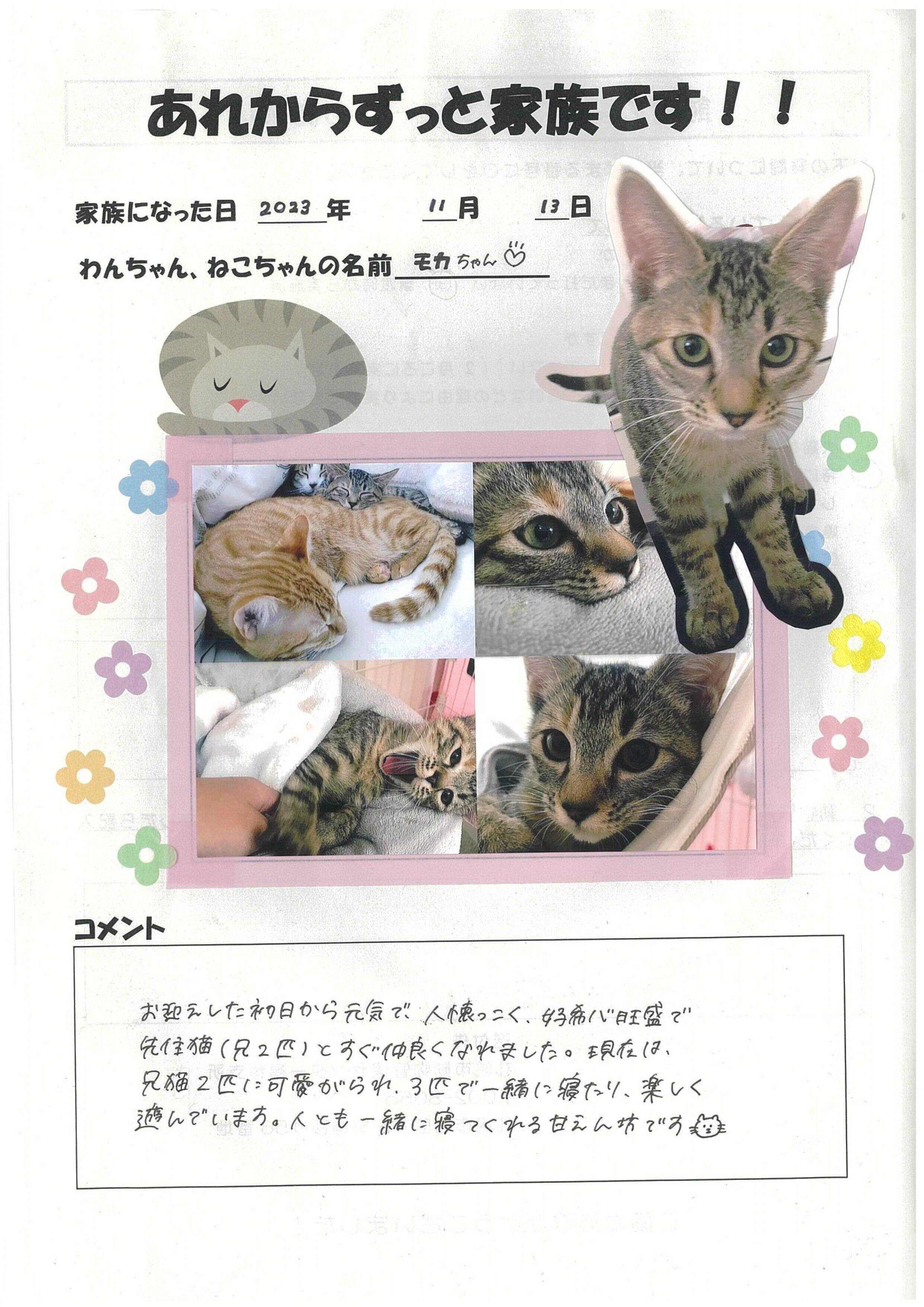 写真提供／札幌市動物愛護管理センター「あいまる さっぽろ」