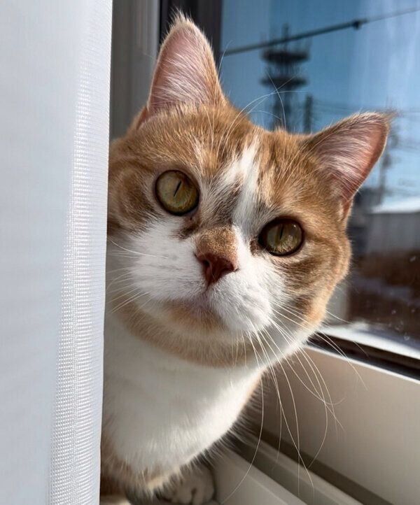 見つめる虎太郎くん