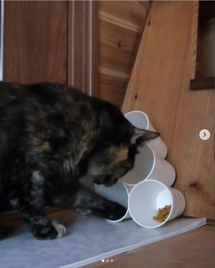 紙コップタワーで遊ぶ、ういちゃん