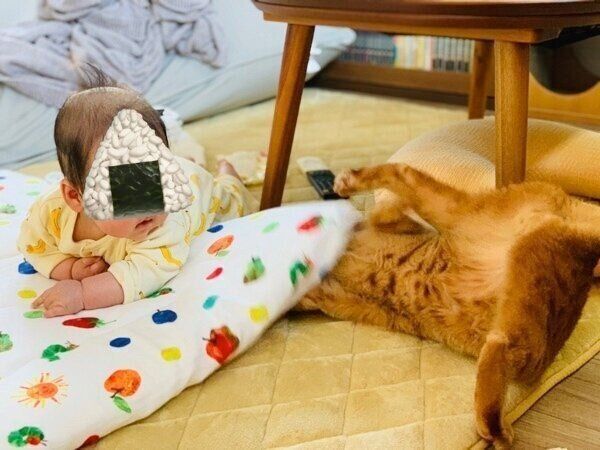 息子くんに近づきたいぎがくん