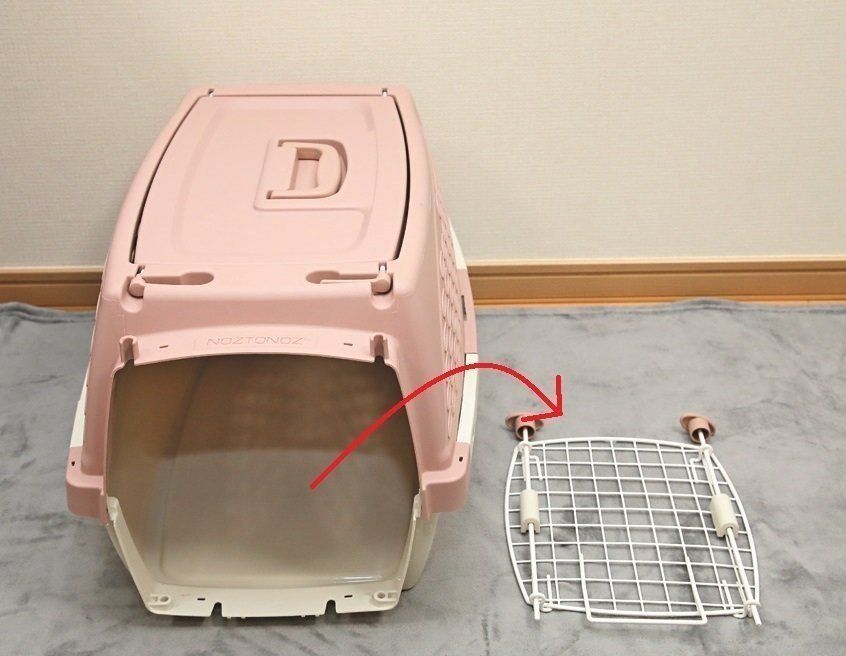 撮影／尾﨑たまき