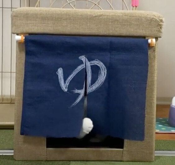 モモちゃん&ねこたちゃんと「湯」のれん