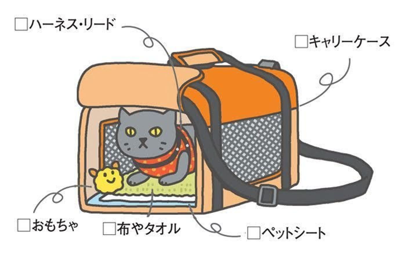 猫と乗りもの移動するときの持ち物と新幹線移動のコツ教えます ねこのきもちweb Magazine 猫と乗りもの移動するときの持ち物と新幹線移動のコツ教えます ねこのきもちweb Magazine