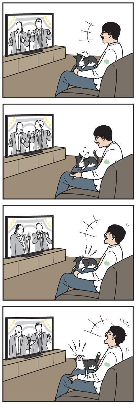男の猫道