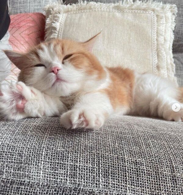 眠るなぎちゃん