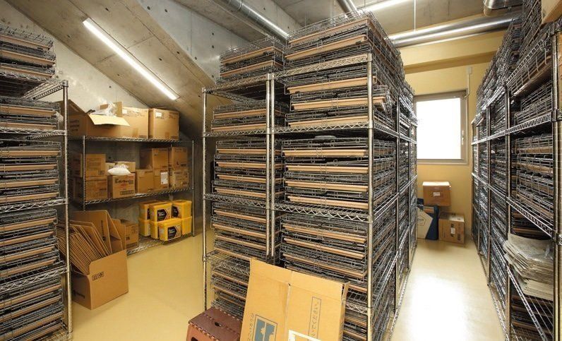 撮影／尾﨑たまき