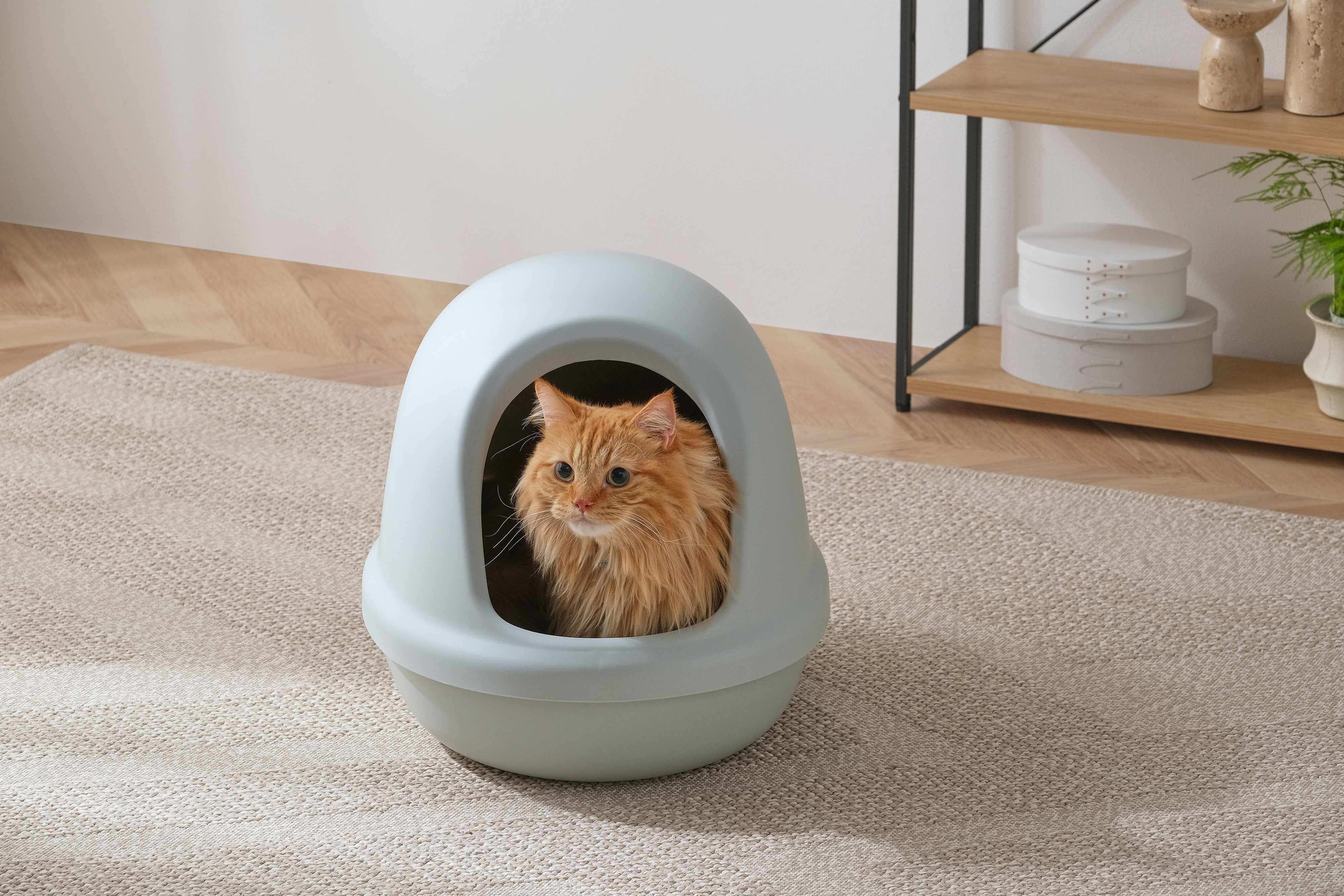 写真提供／アイリスオーヤマ