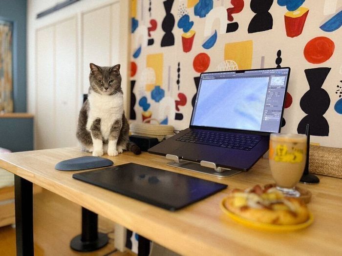 飼い主さんを見つめるメグちゃん