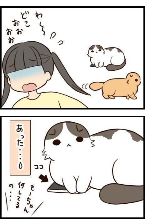 「もふもふスコたん」27話目