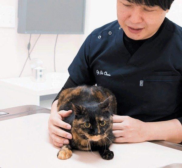 東京都北区にある王子ペットクリニック院長・重本仁先生