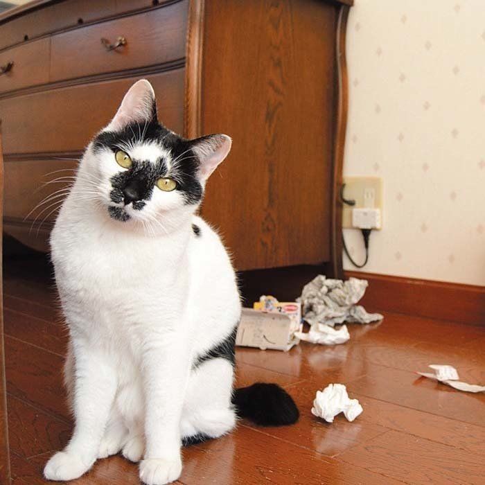 撮影／栗林　愛