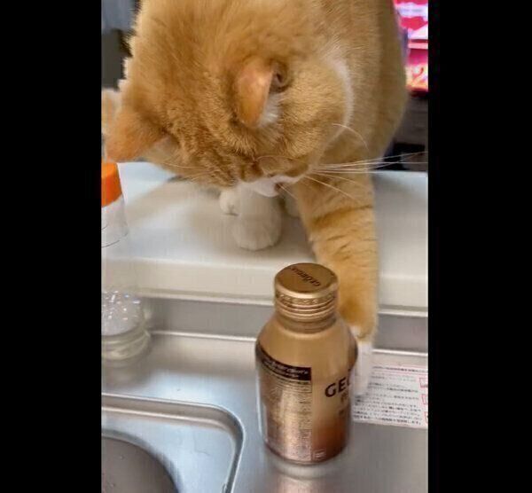 缶を落とすさんてくん