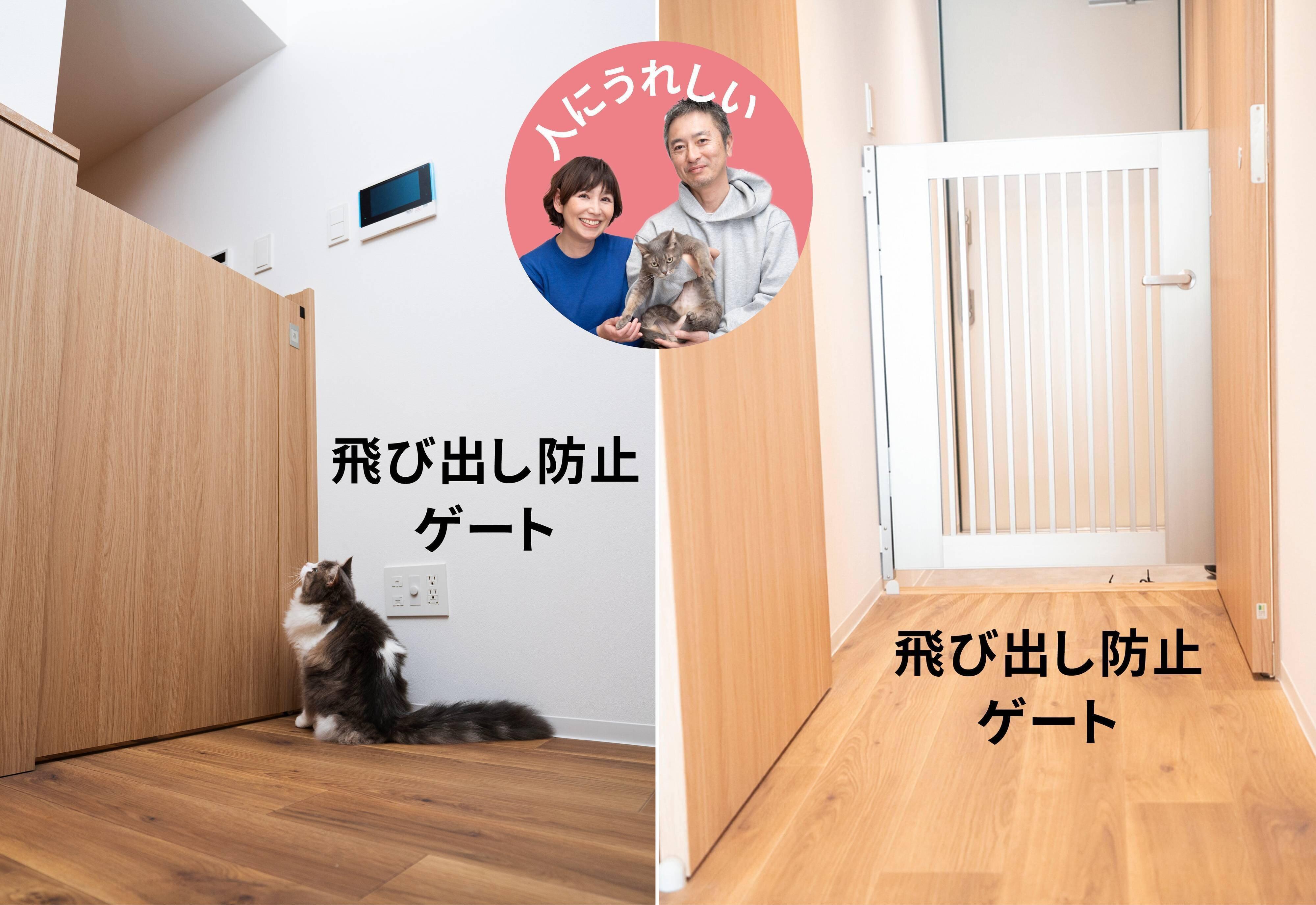 フジタ　大和リビング　リーラ横浜川和町　月次健診　犬猫合わせて4頭　マンション　賃貸マンション　ペット共生型マンション　ねこのきもち　ねこ　ゲート