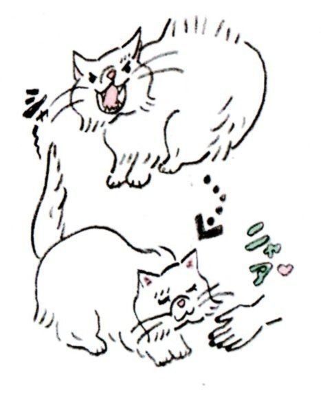 イラスト／タカヒロコ