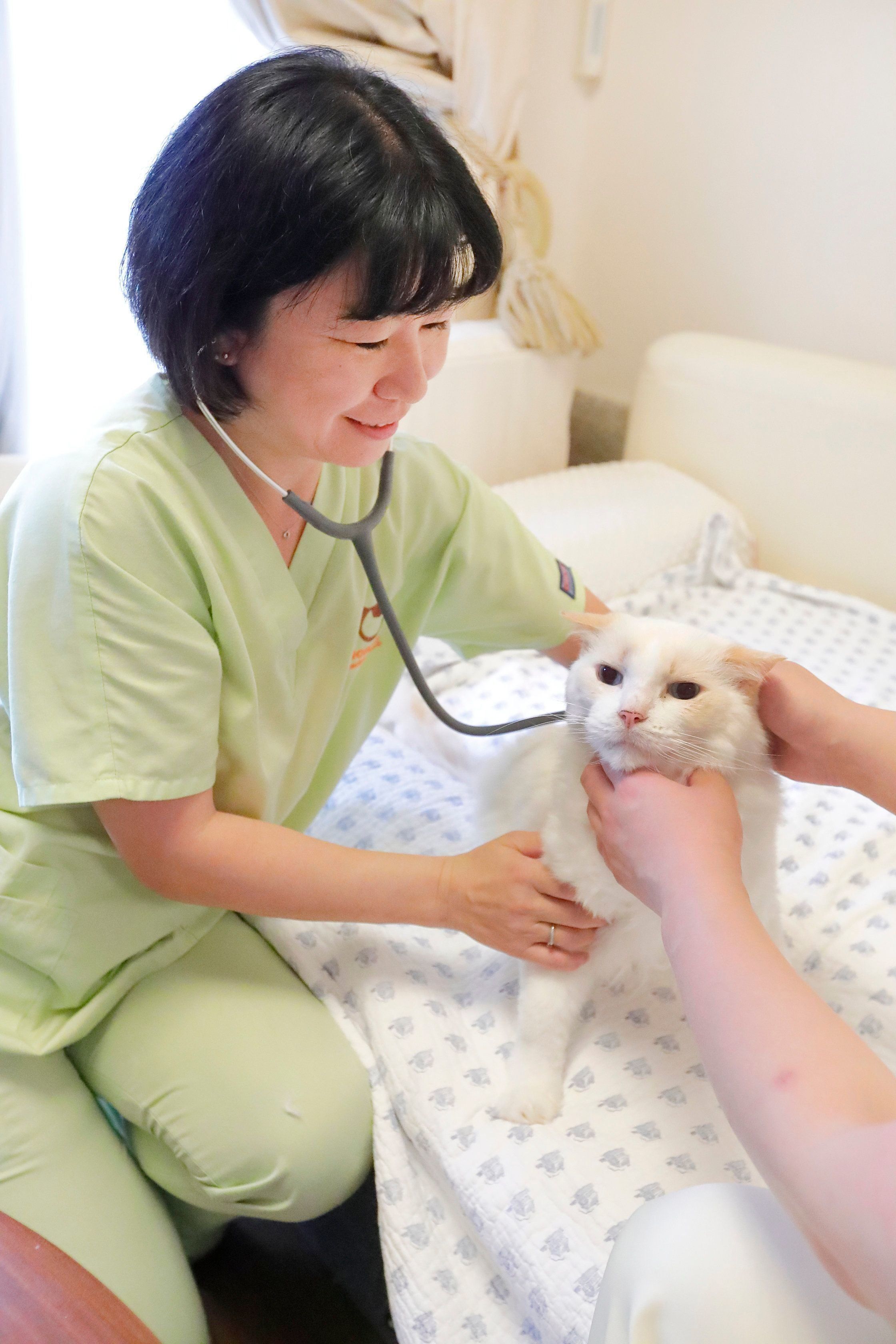 撮影／後藤さくら