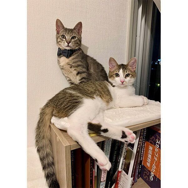 くつろぐ虎太郎くんとドラちゃん