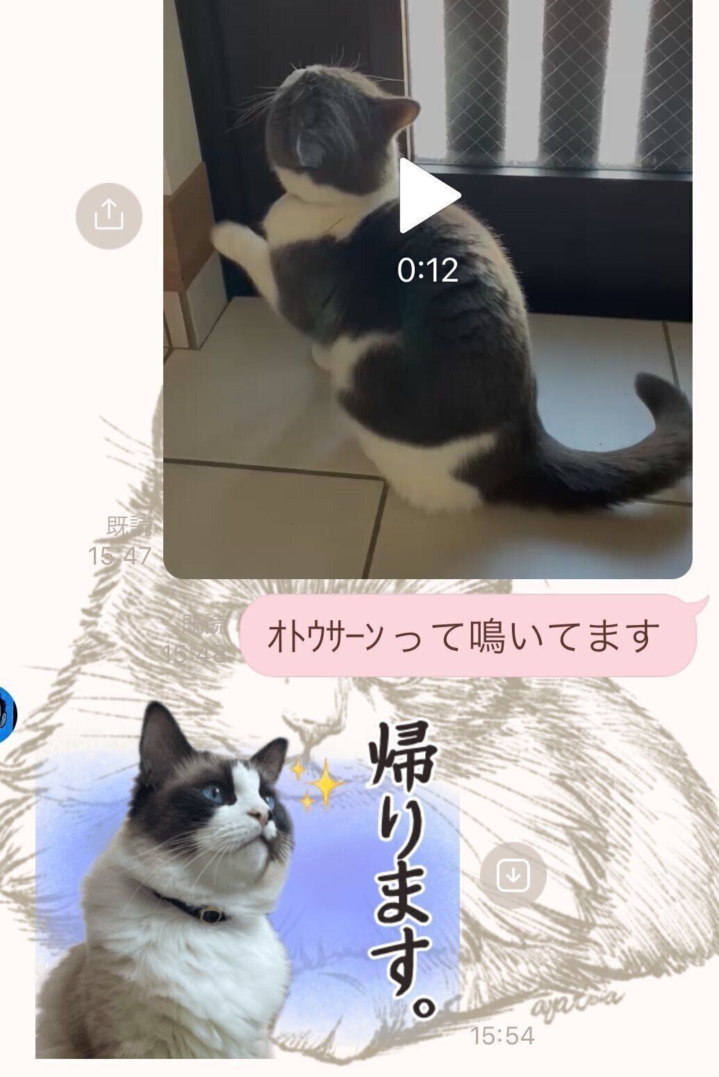 飼い主さんたちのLINEのやりとり