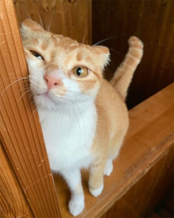 すりすりするちゃむ様