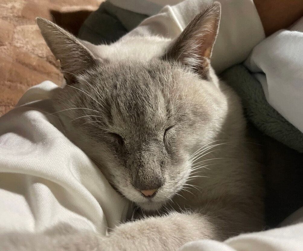 幸せそうな表情のたぬくん