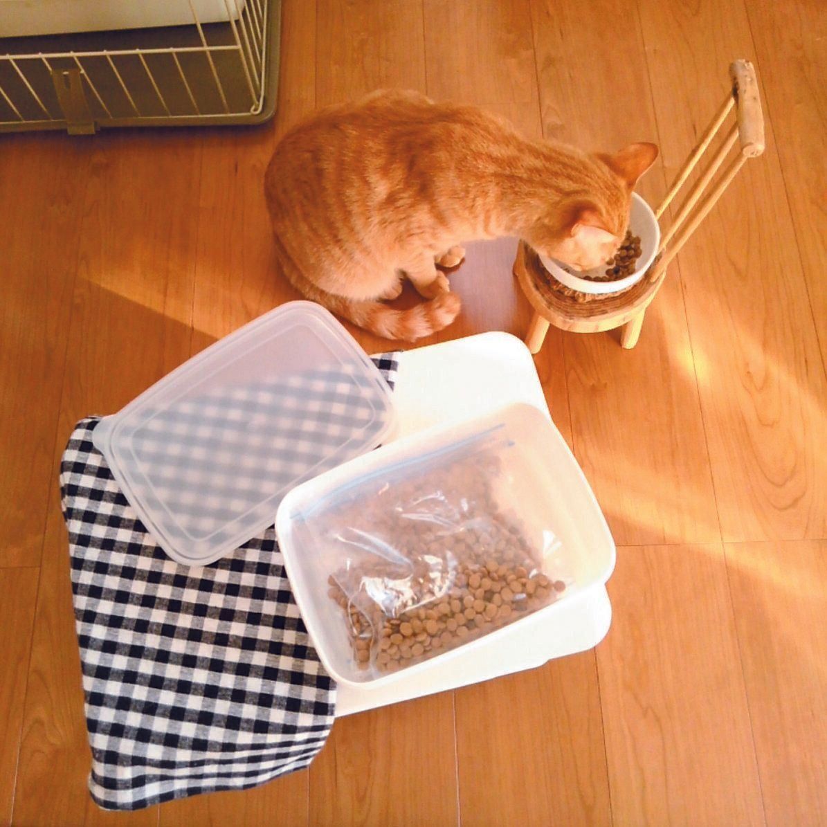 撮影／中川文作