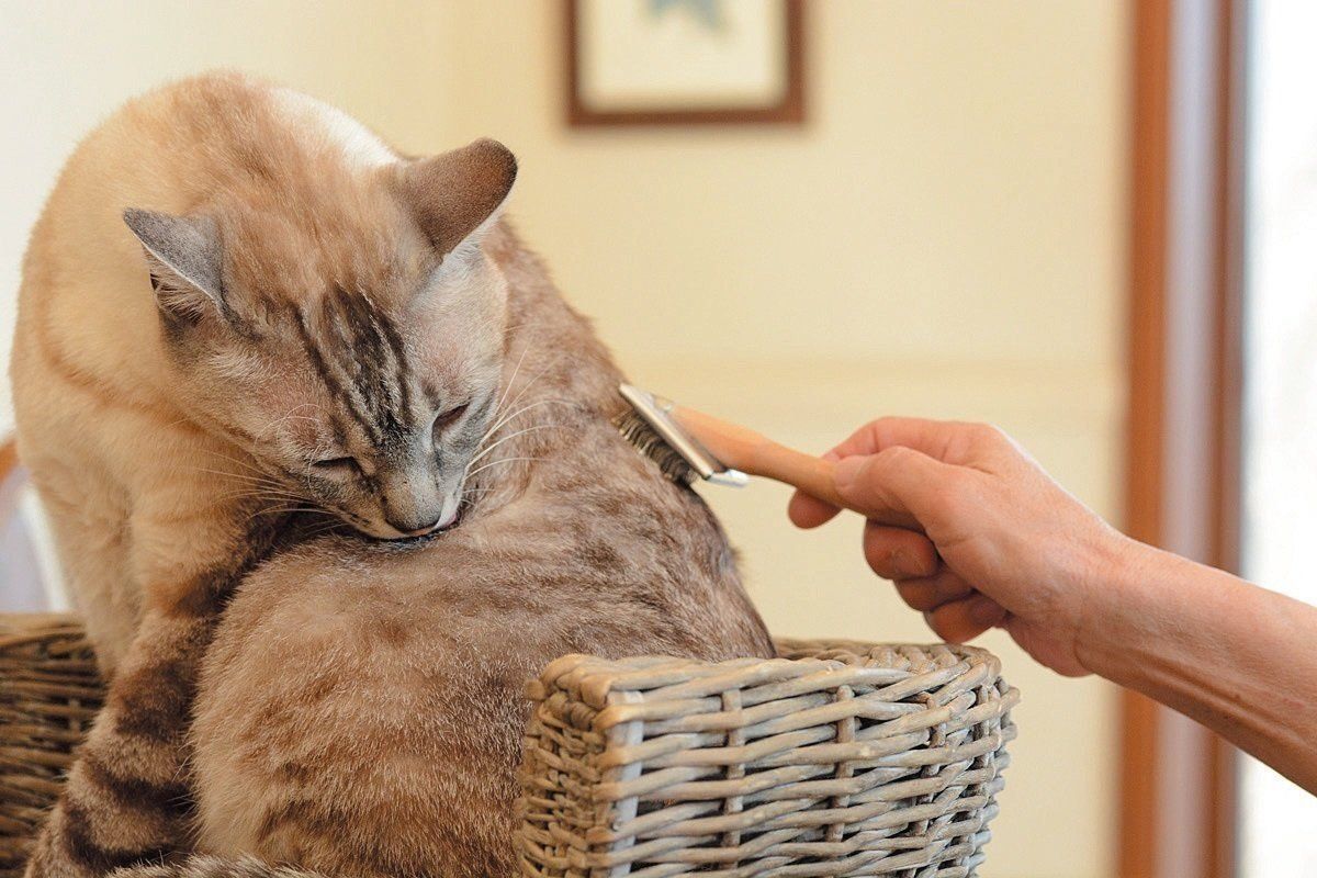 撮影／栗林　愛