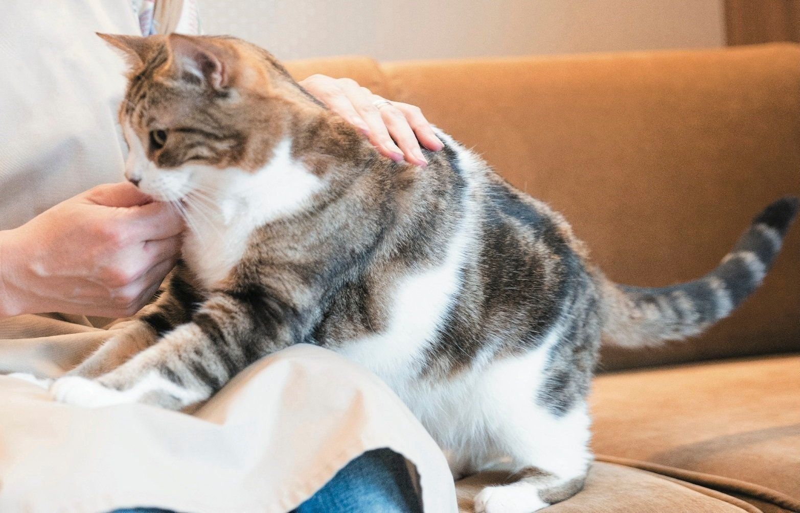 撮影／中川文作