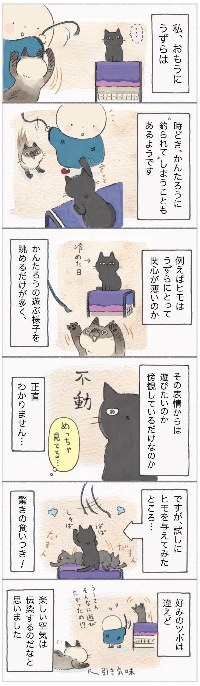 「ねこ連れ草」107話め