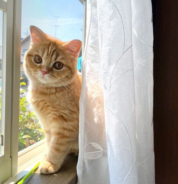 見つめるえだまめくん