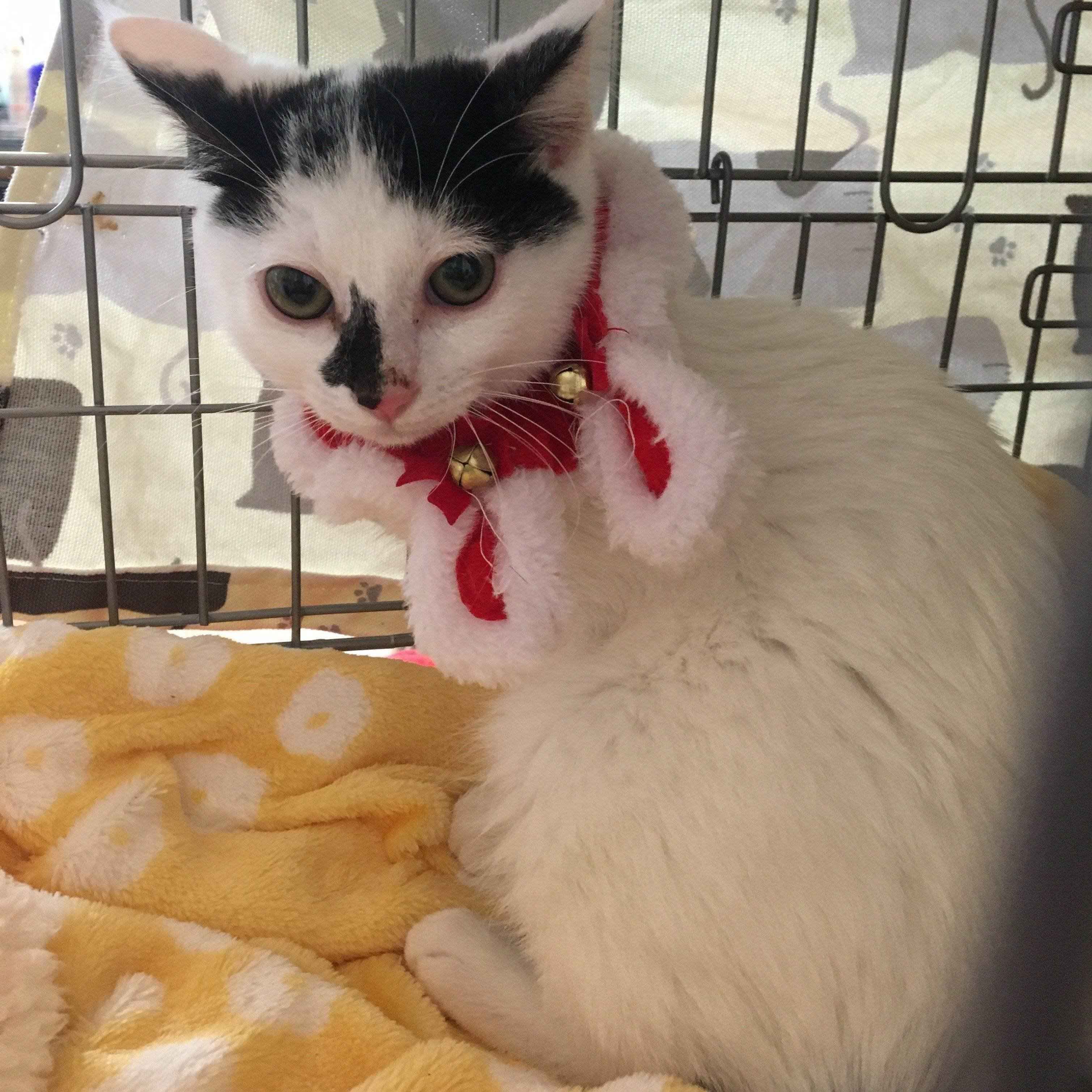 写真提供／中山渚美ちゃん