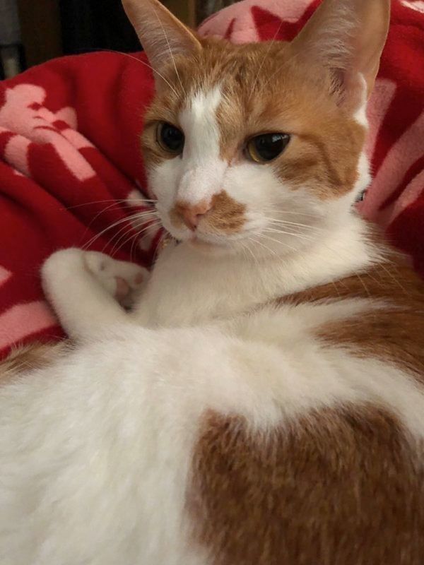 見つめる貞良ちゃん