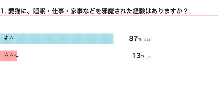 愛猫が邪魔してくることはある？