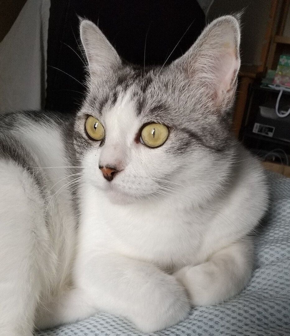 4才になったウィンちゃん。