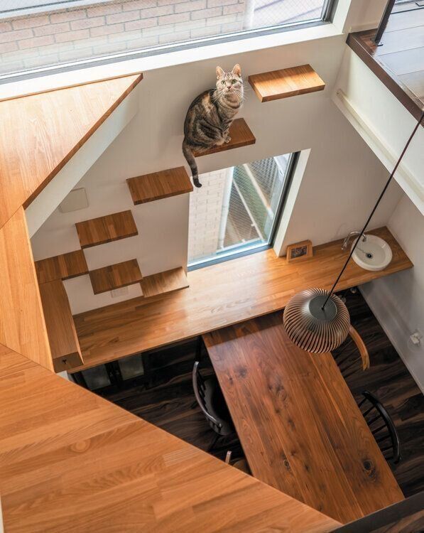 吹き抜け部のキャットステップ