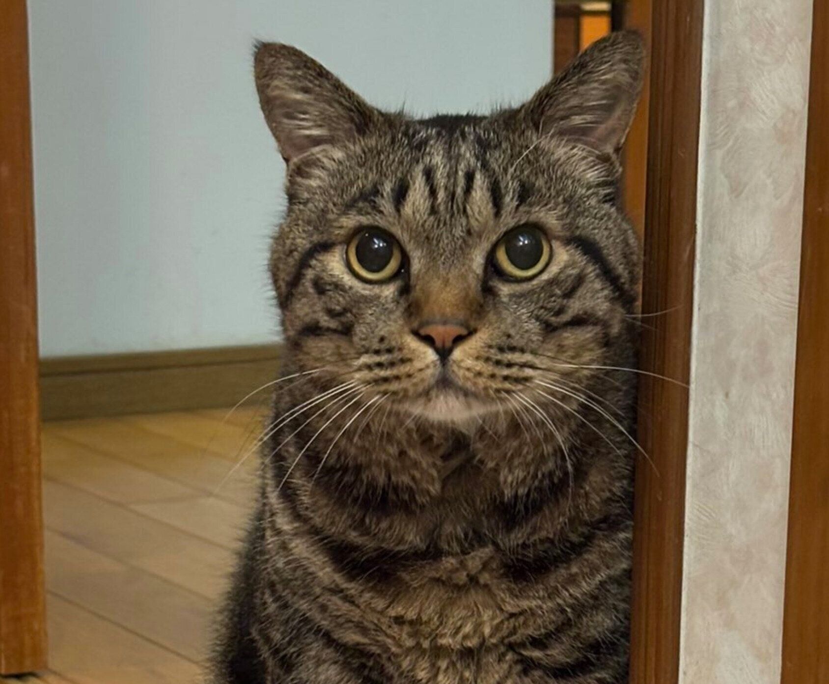 お風呂に入るパパさんの様子を見に来た虎三郎くん