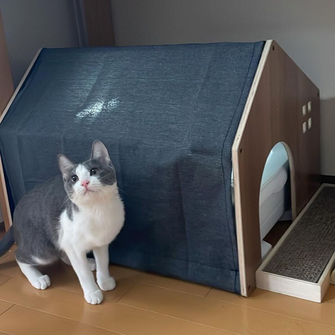 隠すだけじゃなくインテリアにも Instagramで話題の猫の トイレカバー Diyアイデア ねこのきもちweb Magazine 隠すだけじゃなくインテリアにも Instagramで話題の猫の トイレカバー Diyアイデア ねこのきもちweb Magazine