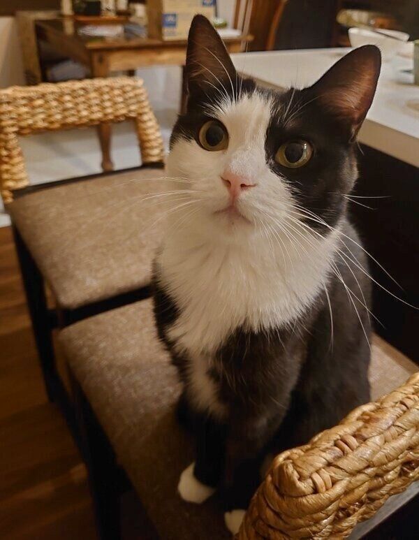 3才になって美しく成長したはるちゃん