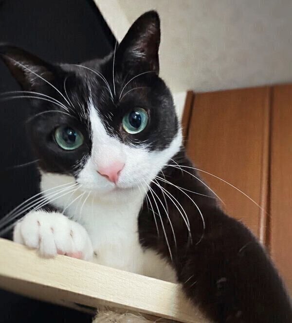 見つめるめいさん