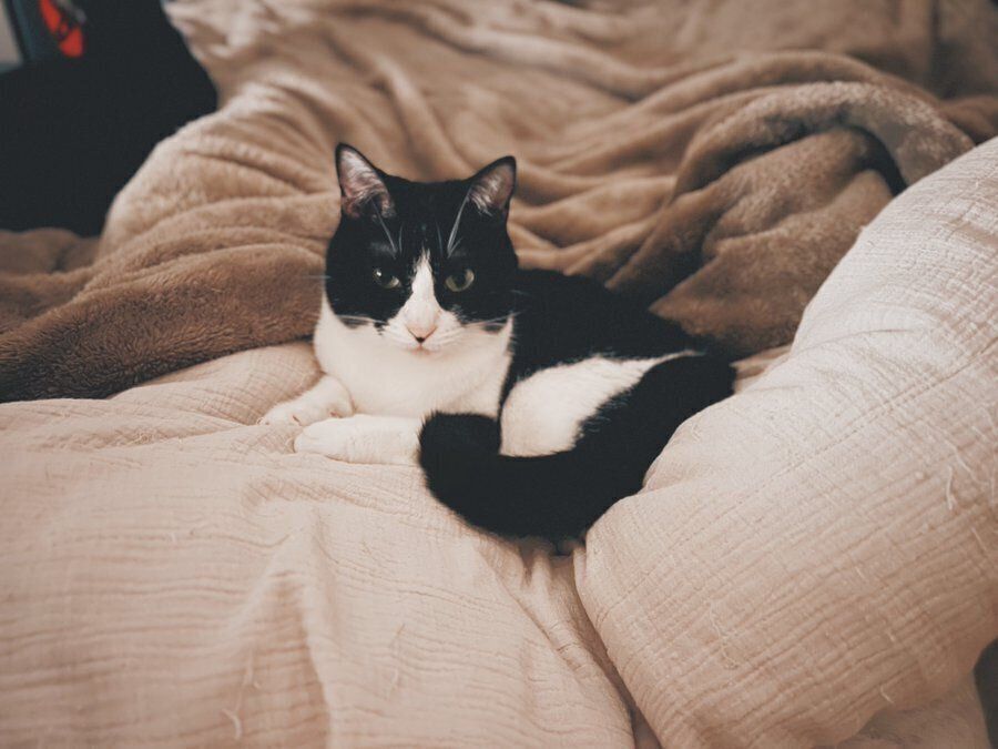 くつろぐ春ちゃん