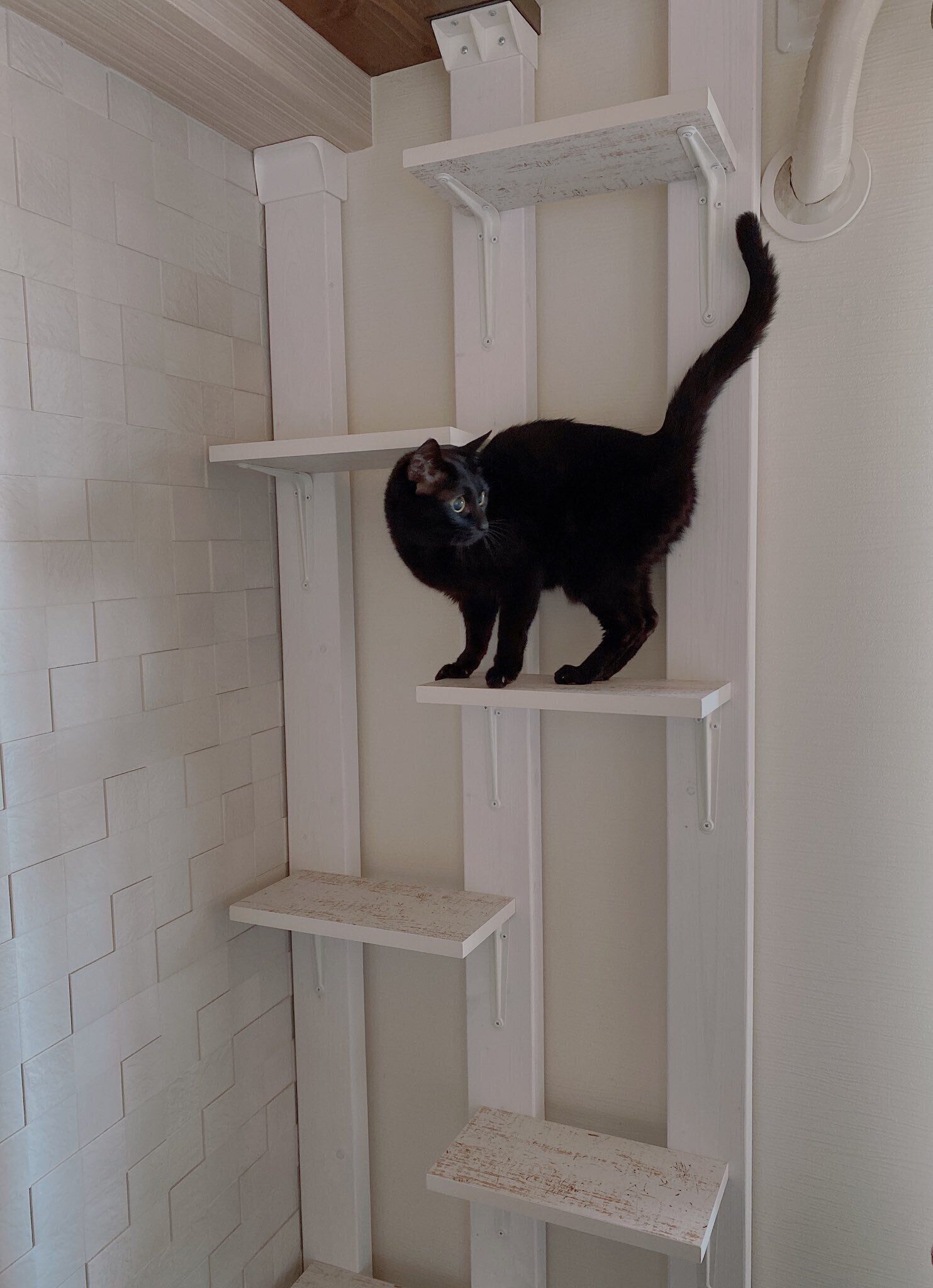 ディアウォールを使ったキャットタワー