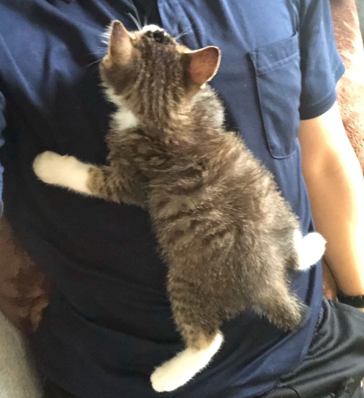 生後2カ月のころに撮影したちいまくん