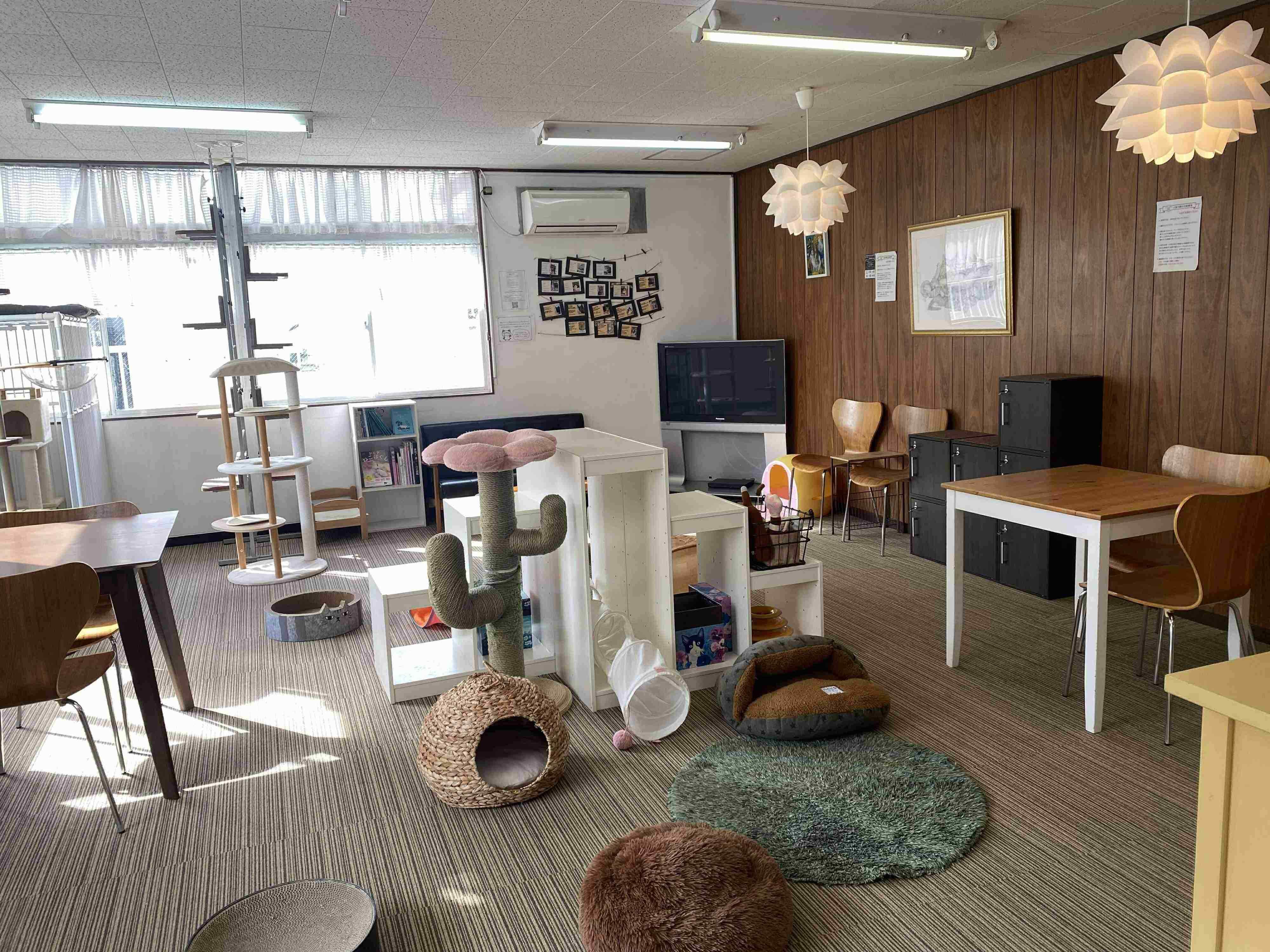 写真提供／ファミーユ