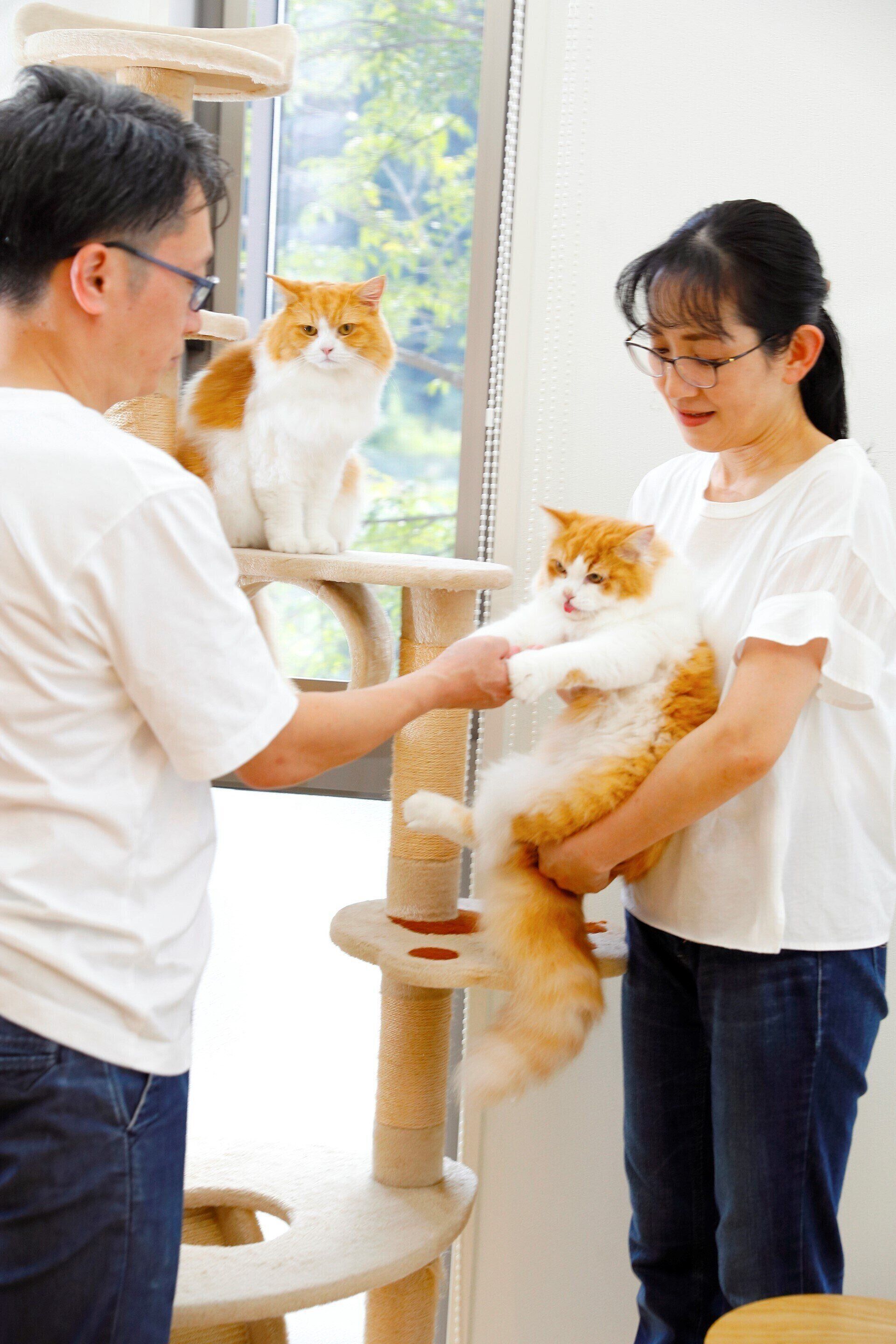 撮影／後藤さくら